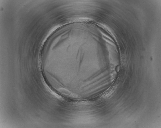 X0000071910851200607281826