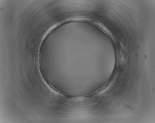 X0000071910853200607281826