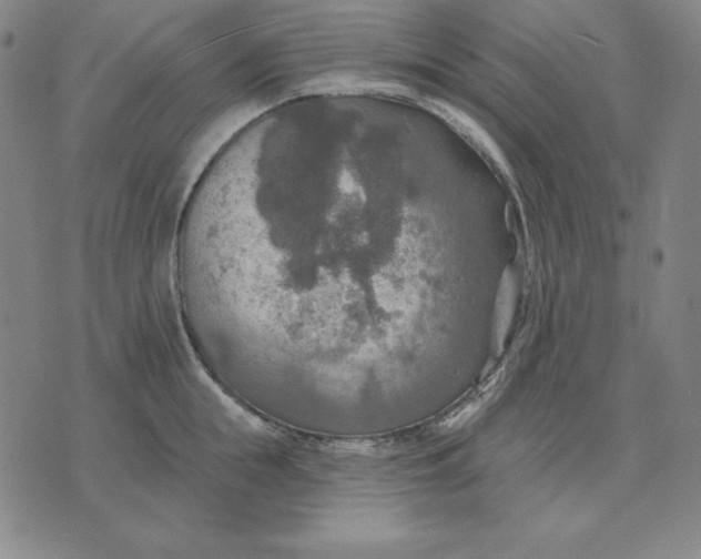 X0000071910855200607281826