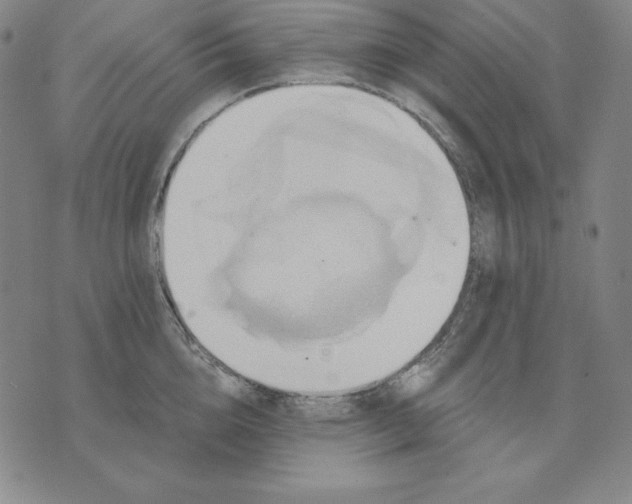 X0000071910856200607281826