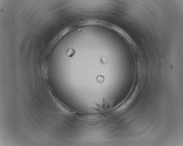 X0000071910857200607281826