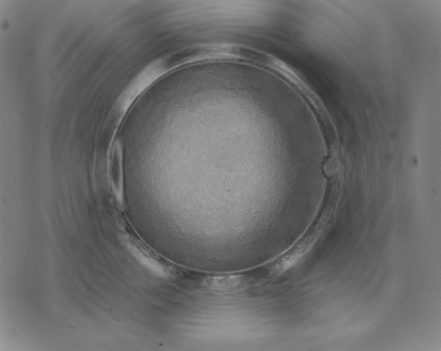 X0000071910858200607281827