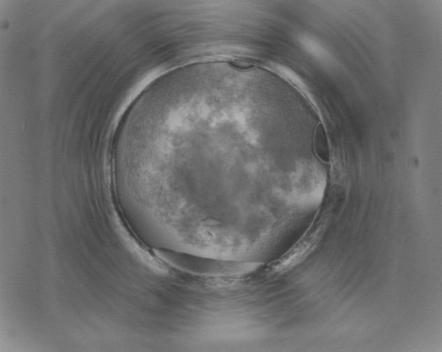 X0000071910859200607281827