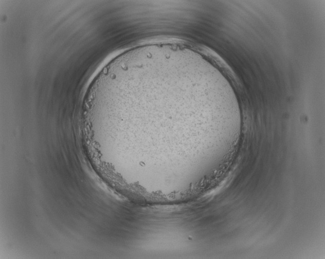 X0000071910860200607281827