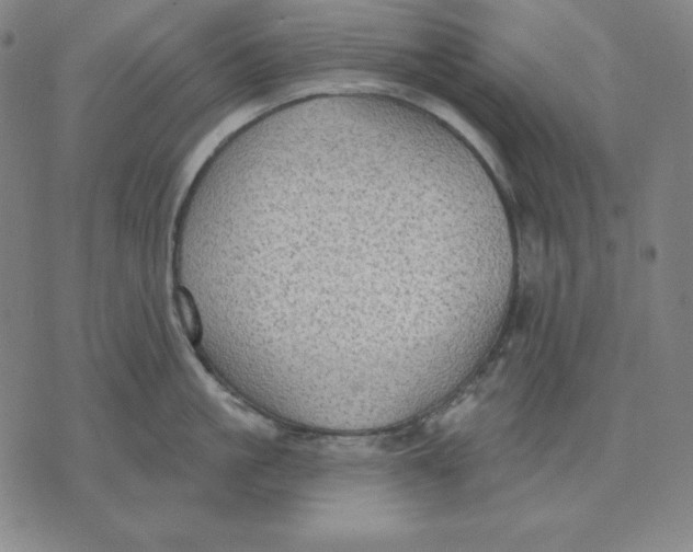 X0000071910861200607281827