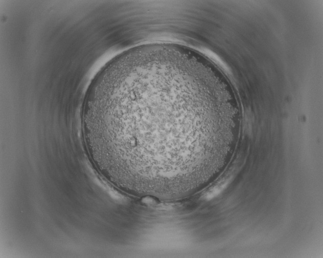 X0000071910862200607281827