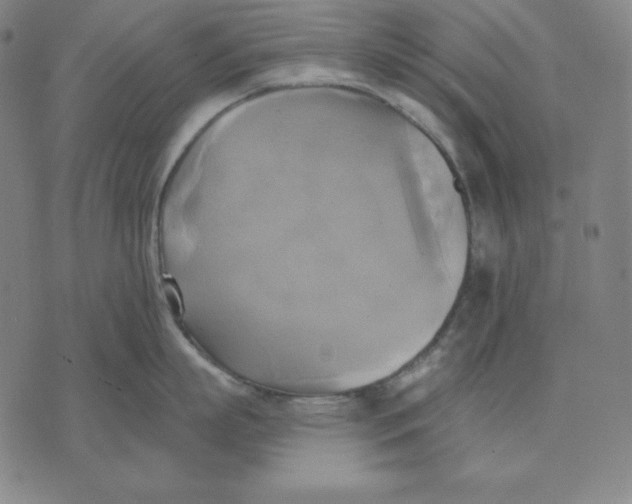 X0000071910863200607281827