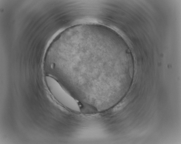 X0000071910864200607281827