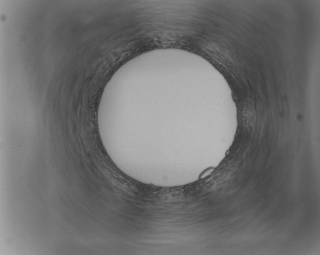 X0000071910865200607281826