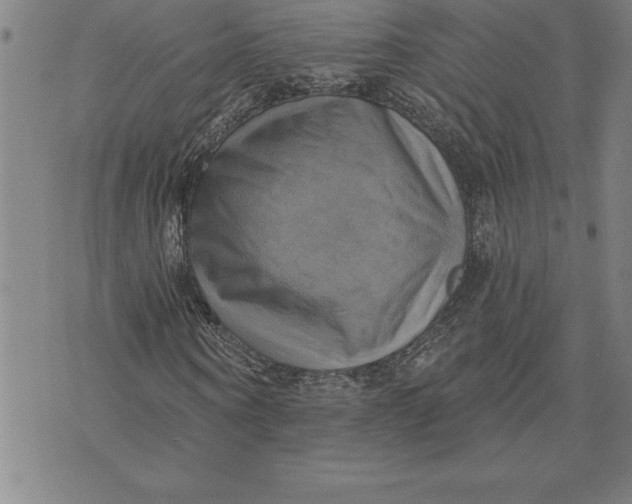 X0000071910866200607281826