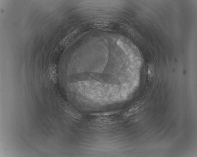 X0000071910867200607281826