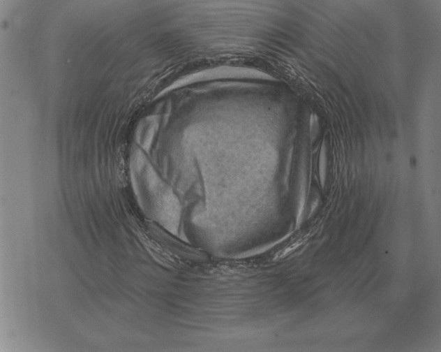 X0000071910868200607281826