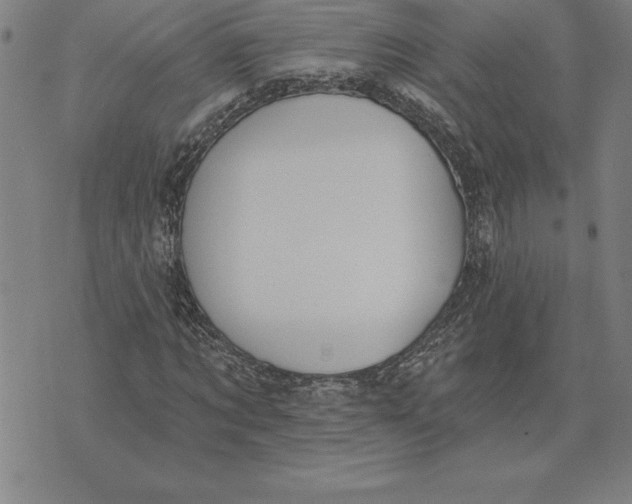 X0000071910869200607281826