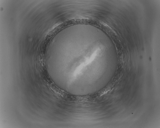 X0000071910870200607281826