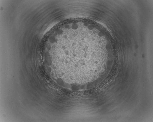 X0000071910871200607281826