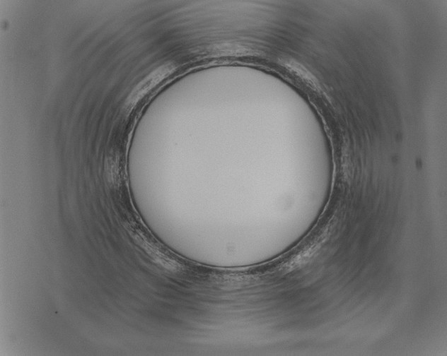 X0000071910873200607281826