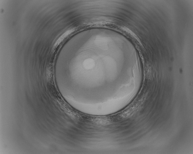 X0000071910874200607281826