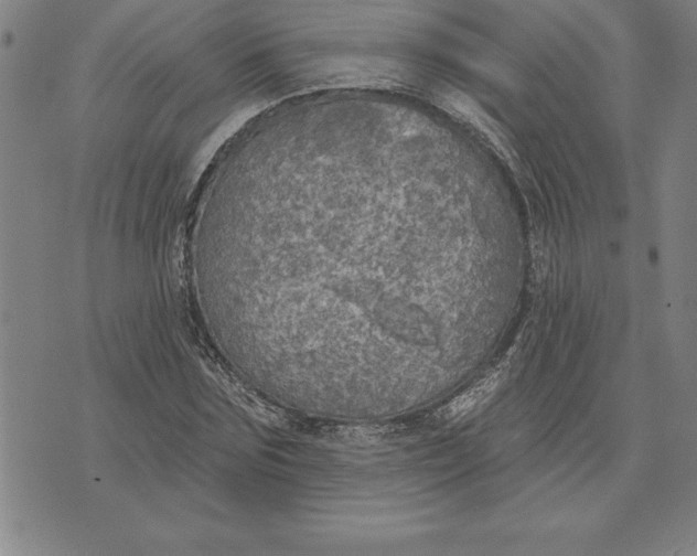 X0000071910875200607281826