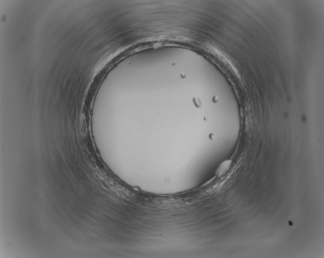 X0000071910876200607281826