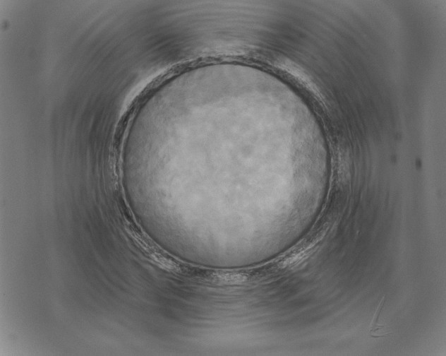 X0000071910878200607281826