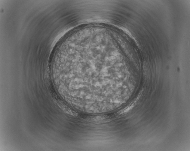 X0000071910879200607281826