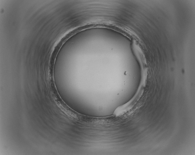 X0000071910880200607281826