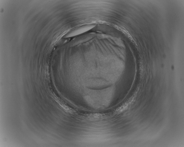 X0000071910881200607281826