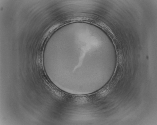 X0000071910882200607281826