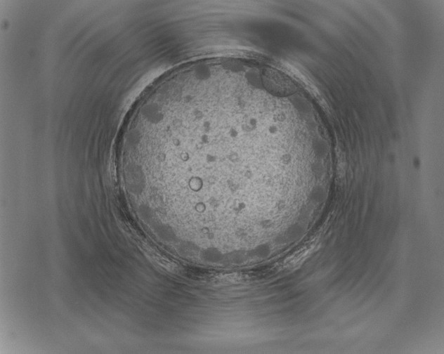 X0000071910883200607281826