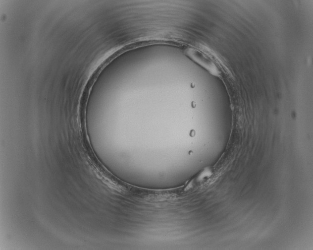 X0000071910884200607281826