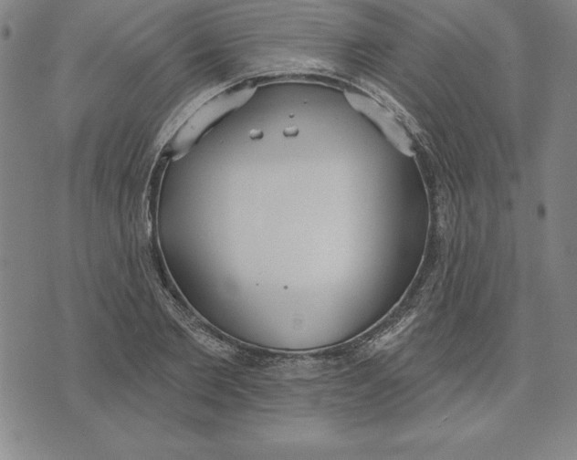 X0000071910885200607281826