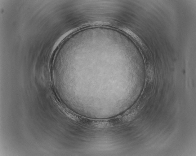 X0000071910886200607281825