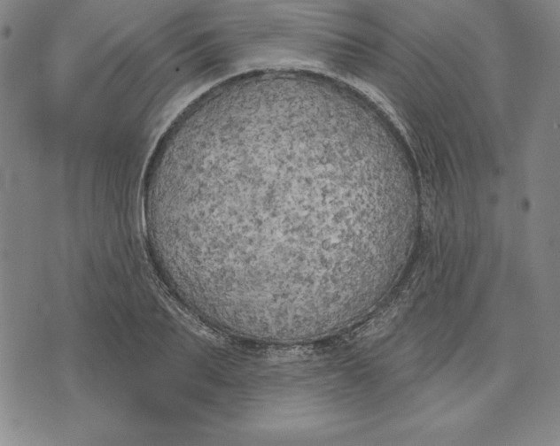 X0000071910887200607281825