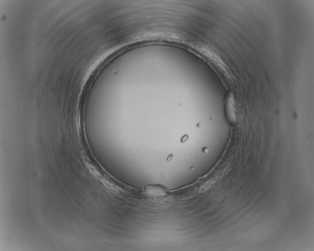 X0000071910888200607281825