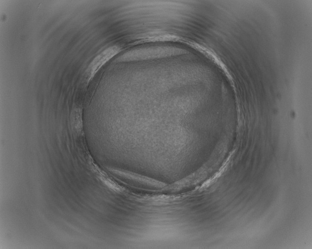 X0000071910889200607281825