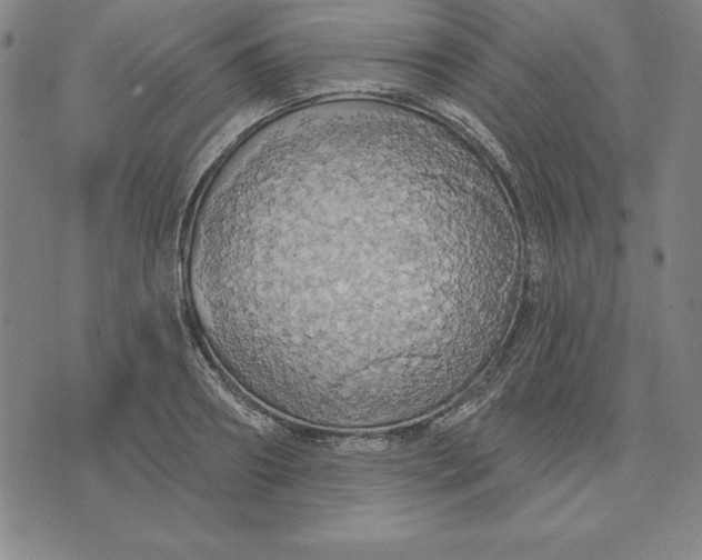 X0000071910890200607281825