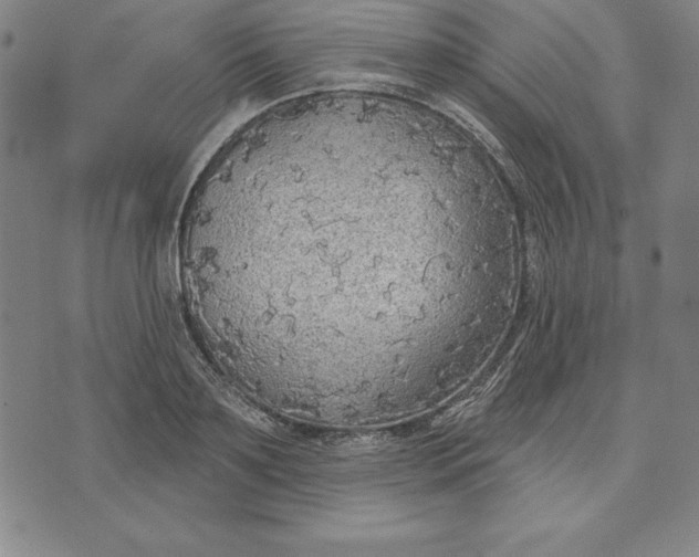 X0000071910891200607281825