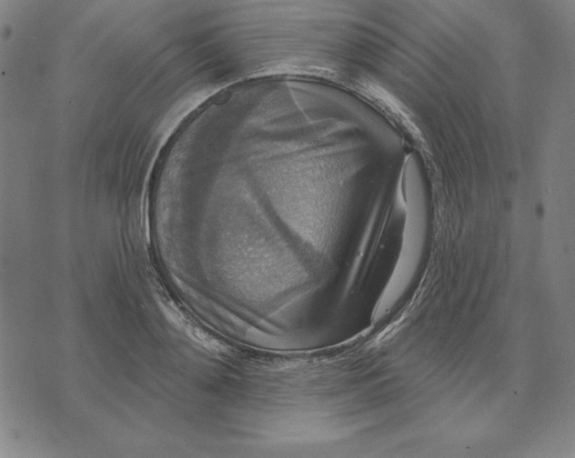 X0000071910892200607281825