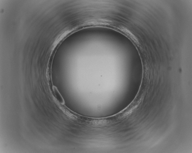 X0000071910893200607281825