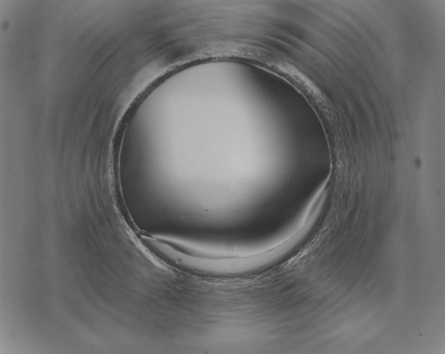 X0000071910894200607281825