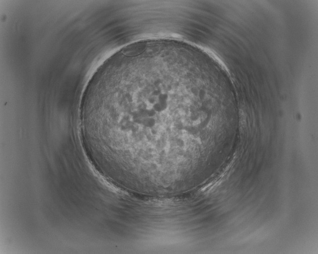 X0000071910895200607281825