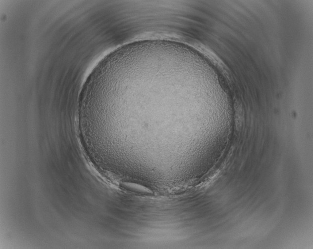 X0000071910896200607281825