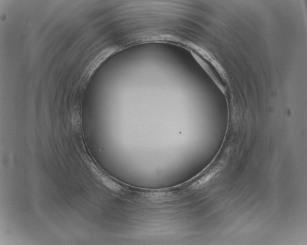 X0000071910897200607281825