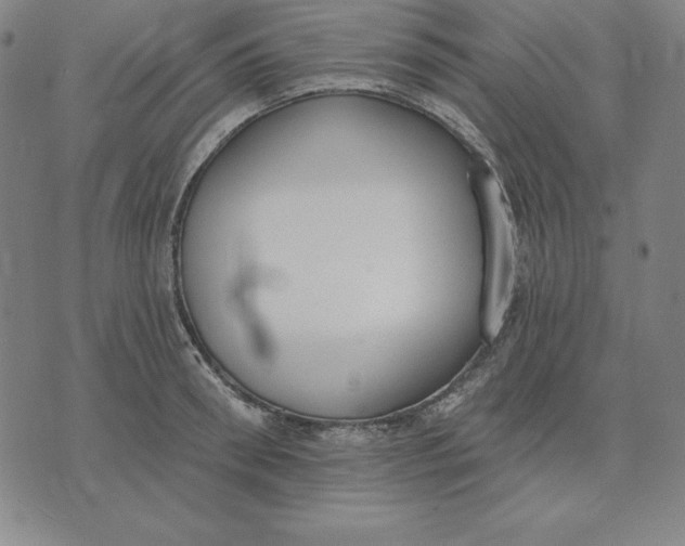 X0000071910898200607281825