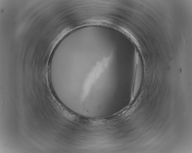 X0000071910899200607281825