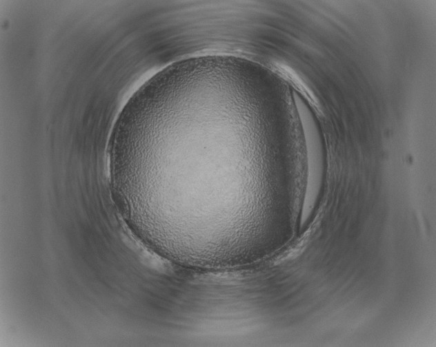 X0000071910900200607281825