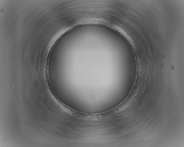 X0000071910901200607281825