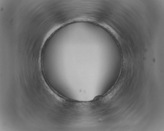 X0000071910902200607281825