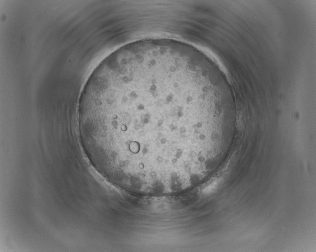 X0000071910903200607281825