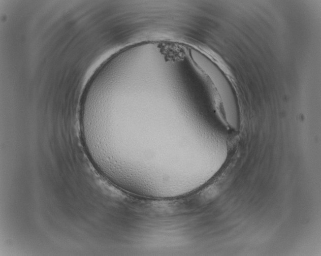 X0000071910904200607281825